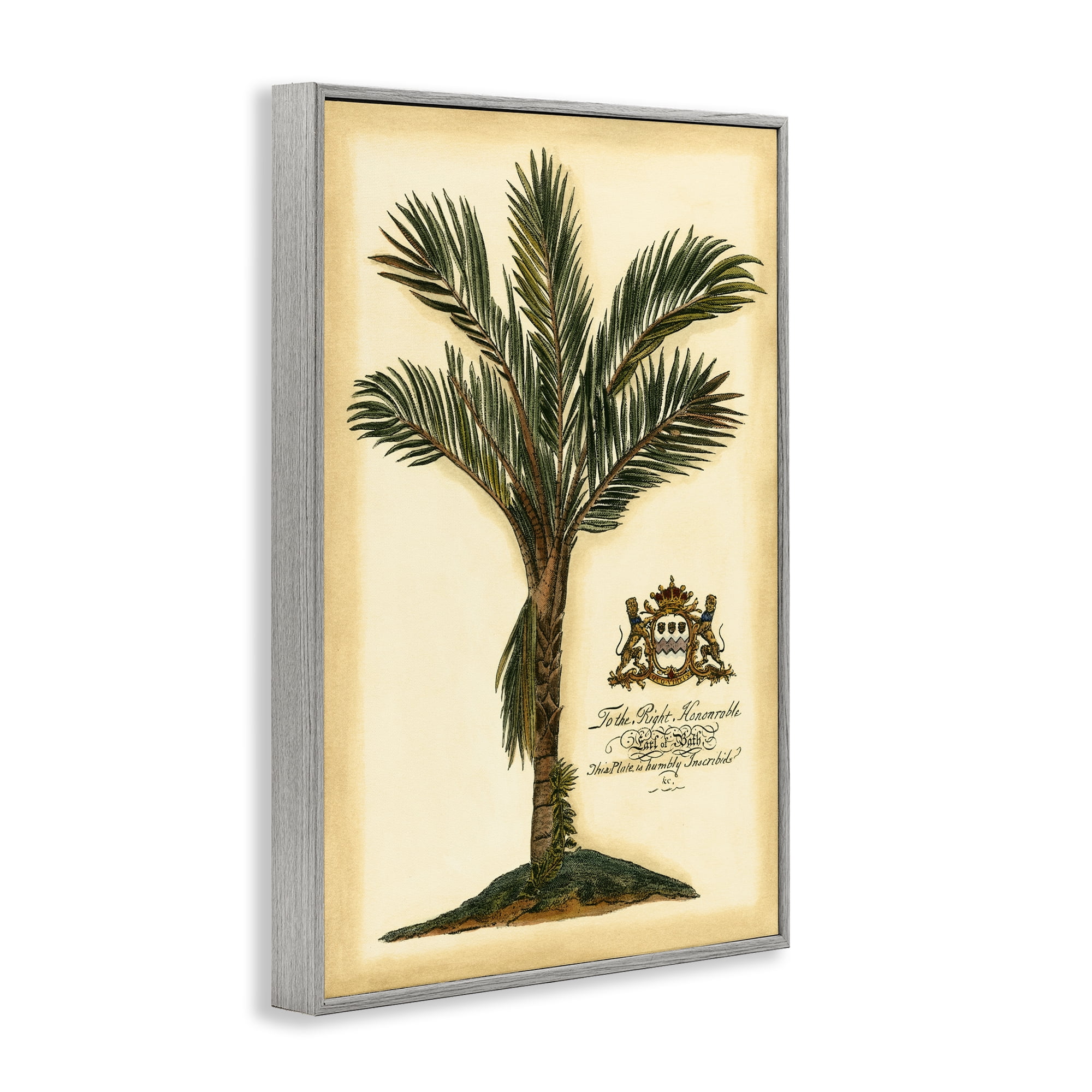 Stupell Industries Vintage Colonial Palm Gray Framed Giclee Art, design by Vision Studio