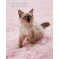 thumbnail image 3 of Fluffy Area Rugs for Living Room, Soft Shag Rug for Bedroom, Non-Slip Fuzzy Carpet, Machine Washable Plush Indoor Rug for Kids Room Nursery Home Decor, 3 of 8
