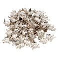 thumbnail image 1 of Remaches de metal de calavera Hugo 2x50Pcs, 1 of 9