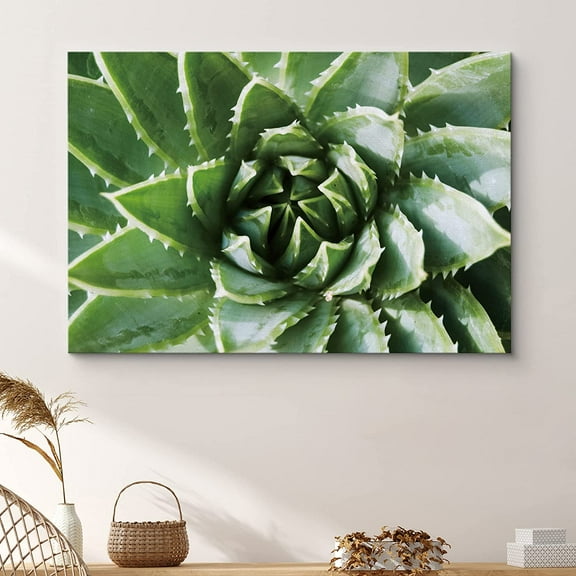 PixonSign Canvas Print Wall Art Blossoming Spiky Green Succulent Floral Wilderness Photography Realism Glam Closeup Colorful Multicolor Ultra for Living Room, Bedroom, Office - 16"x24"