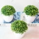 thumbnail image 4 of Plantas artificiales KGJQ - Plantas artificiales en maceta - Bonsái con forma de bola de hierba, verde, 4 of 5