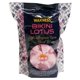 thumbnail image 3 of Bikini Hard Wax Beads Waxness Premium sin colofonia, 750 g, 3 of 4