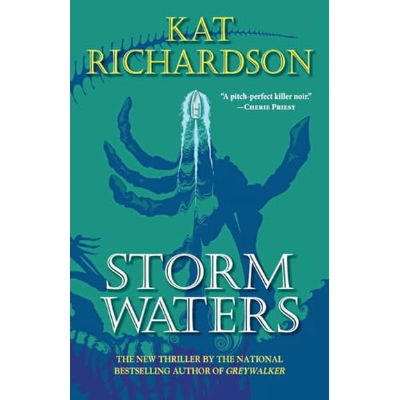Pre-Owned Storm Waters (Paperback) 1958880221 9781958880227