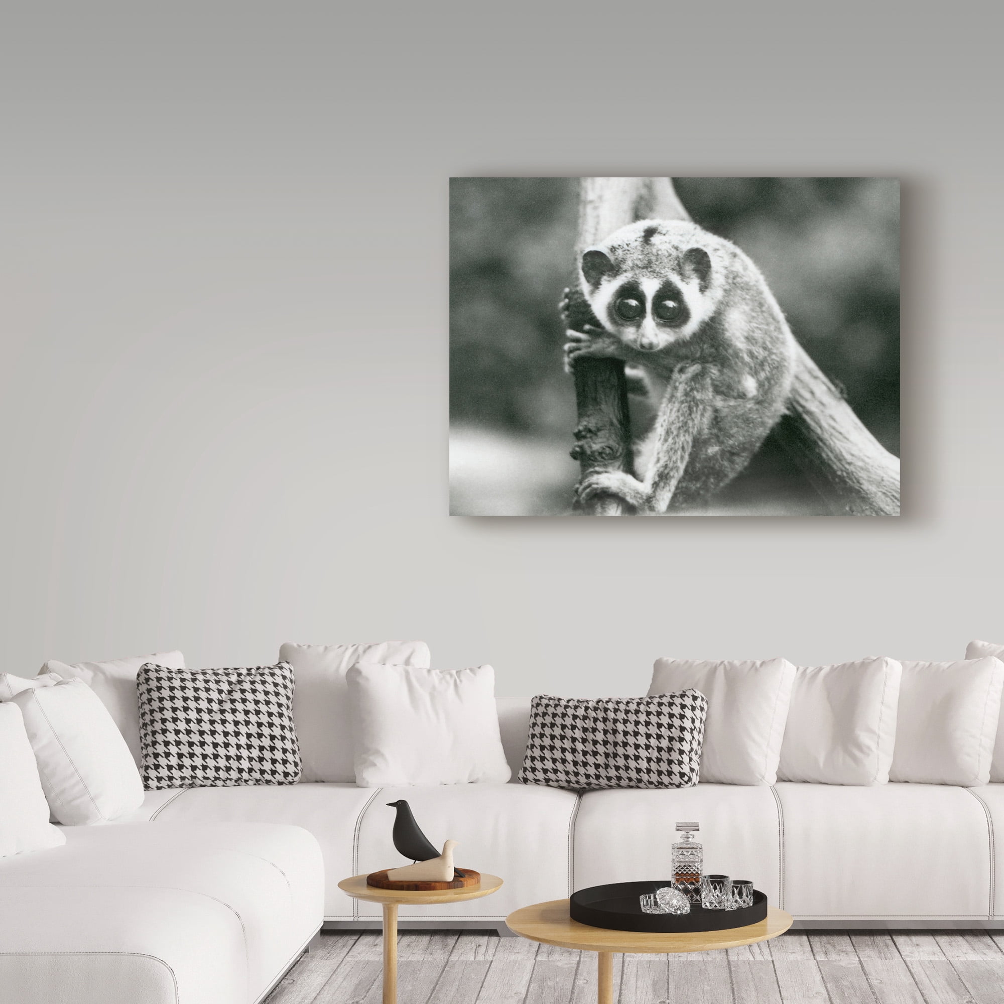 Trademark Fine Art 'A Slender Loris' Canvas Art by Frederick William Bond