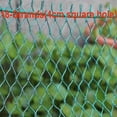 thumbnail image 4 of Filet Anti-Oiseaux Lourd Filet de Protection pour Clôture de Jardin et Cultures Filet de Pêche pour Chat Chien Poulet, 4 of 5