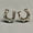 #4, variant on Wood Rainbow Stripe Cow Tag Texas Map Leopard Cactus Cross Western Stud Earrings