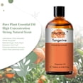thumbnail image 3 of PHATOIL Tangerine Essential Oils, Tangerine Oil for Diffusers, Home Care, Candle Making Scents, Fragrance, Humidifiers, 3.38 Fl Oz, 3 of 8