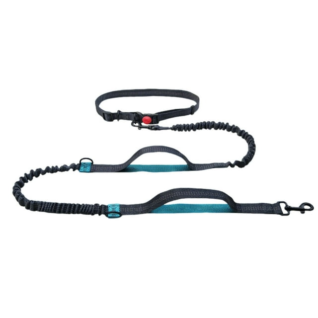 Pet Leash Outdoor Running Reflective Double Extendable Dog Leash Dog Chain Leash Pet Supplies