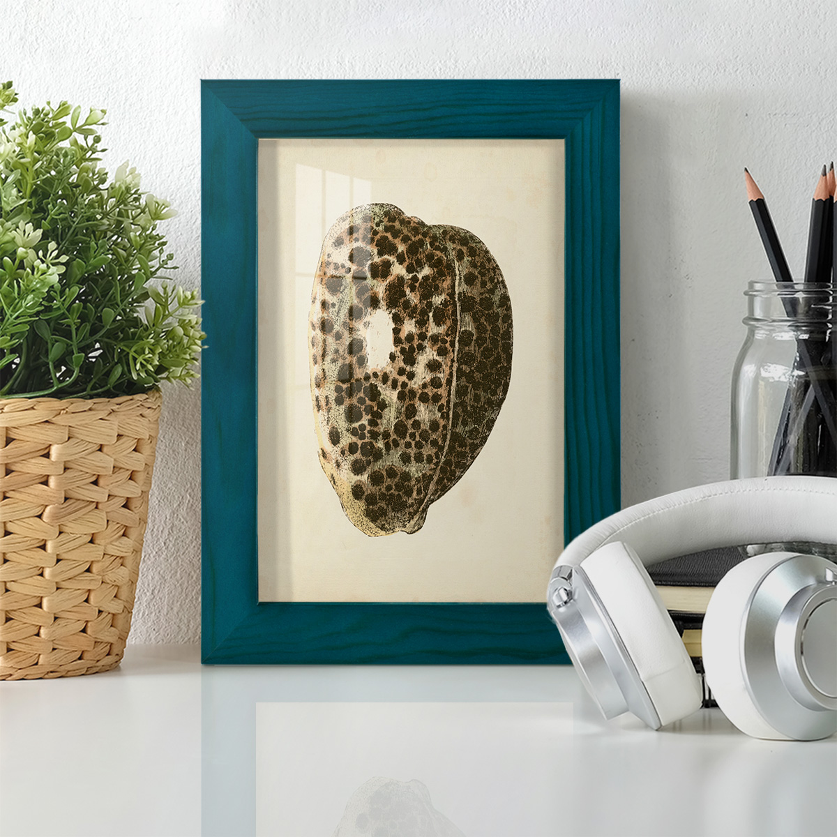 Sealife Collection III - Framed Print w/glass - Ocean Blue