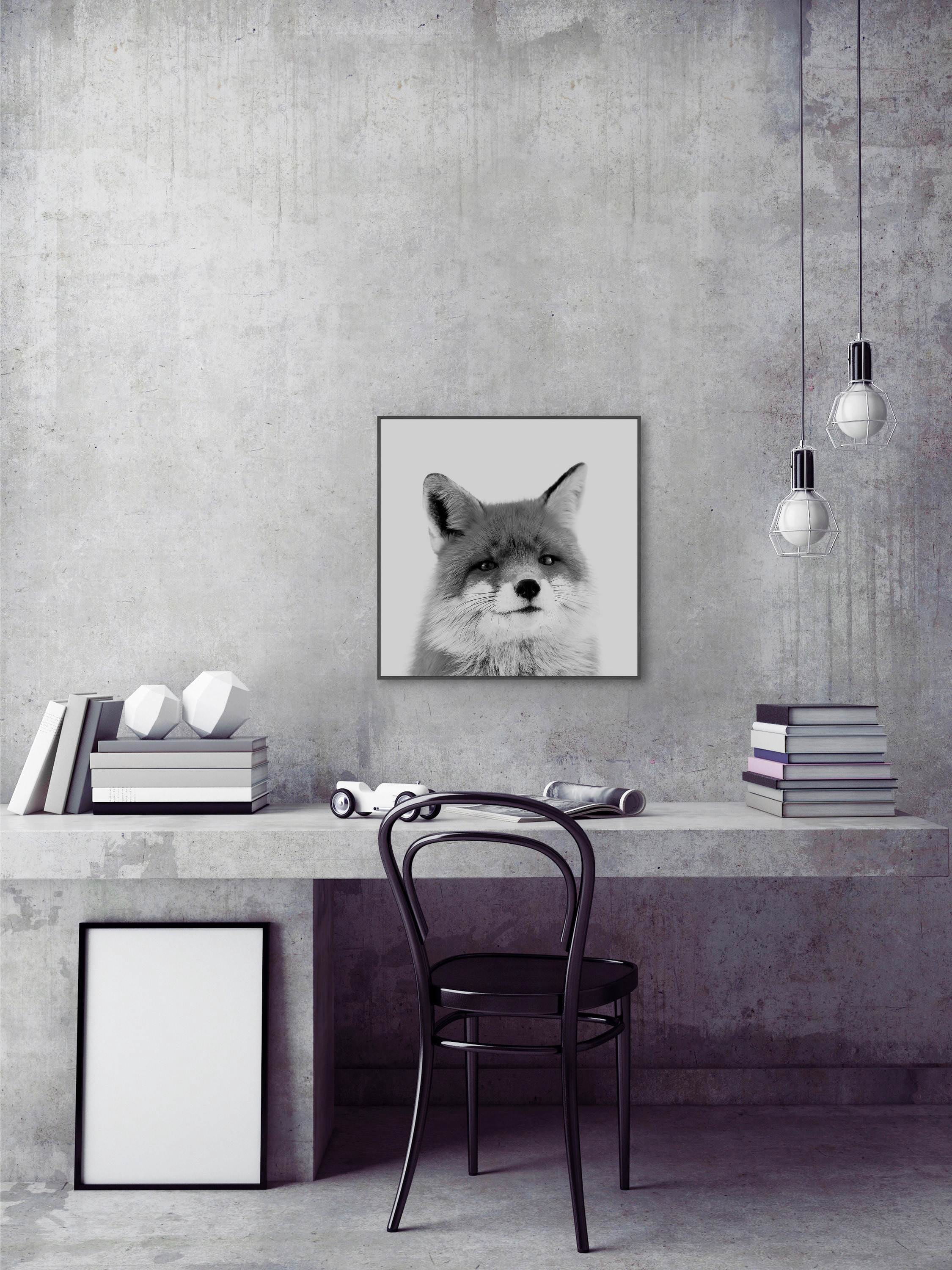 Handsome Fox Floater Framed Painting Print on Canvas
