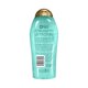 thumbnail image 4 of OGX Hydration + Sea Kelp & Hyaluronic Acid Sulfate-Free Lightly Moisturizing Body Scrub with Black Rice, Gentle Exfoliating Daily Body Wash to Soften & Smooth Skin, 19.5 Fl Oz (pac Ogx NA, 4 of 5