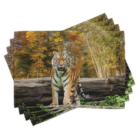 

Safari Placemats Set of 4 Tiger in the Forest Standing and Gazing at the Camera Asian Beast Habitat Picture Washable Fabric Place Mats for Dining Room Kitchen Table Decor Brown Orange by Ambesonne