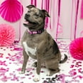 thumbnail image 2 of Country Brook Petz® Deluxe Pink Oh My Dog Dog Collar - Made in the U.S.A., 2XS, 2 of 7