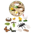 thumbnail image 1 of 3 juegos de de de crecimiento de animales para , juguete, material didáctico natural Hugo  Juego de crecimiento de insectos para niños, 1 of 7