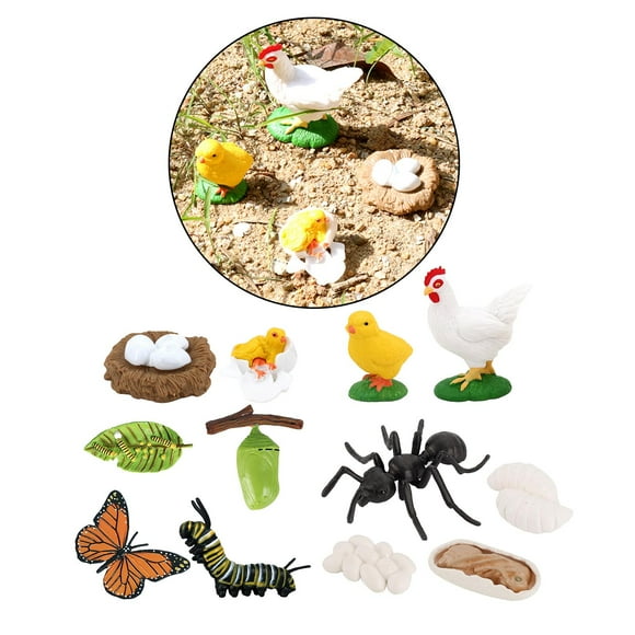 3 juegos de de de crecimiento de animales para , juguete, material didáctico natural Hugo Juego de crecimiento de insectos para niños