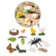 thumbnail image 1 of 3 juegos de de de crecimiento de animales para , juguete, material didáctico natural Hugo  Juego de crecimiento de insectos para niños, 1 of 7