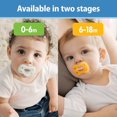 thumbnail image 3 of Dr. Brown's Advantage One-Piece Silicone Baby Pacifier, Fully Symmetrical Soother, Pink, 0-6m, BPA Free, 3 Pack, 3 of 9