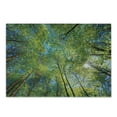 thumbnail image 1 of Forest Cutting Board, Evergreen Back Nature Area Mother Earth Lime Trunk Mangrove Flora Willow Photography, Decorative Tempered Glass Cutting and Serving Board, Small Size, Green, by Ambesonne, 1 of 1