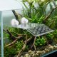 thumbnail image 4 of FOMIYES 2Ud Plataforma Antideslizante Transparente Con Ventosas Rampa Escape Para, 4 of 8