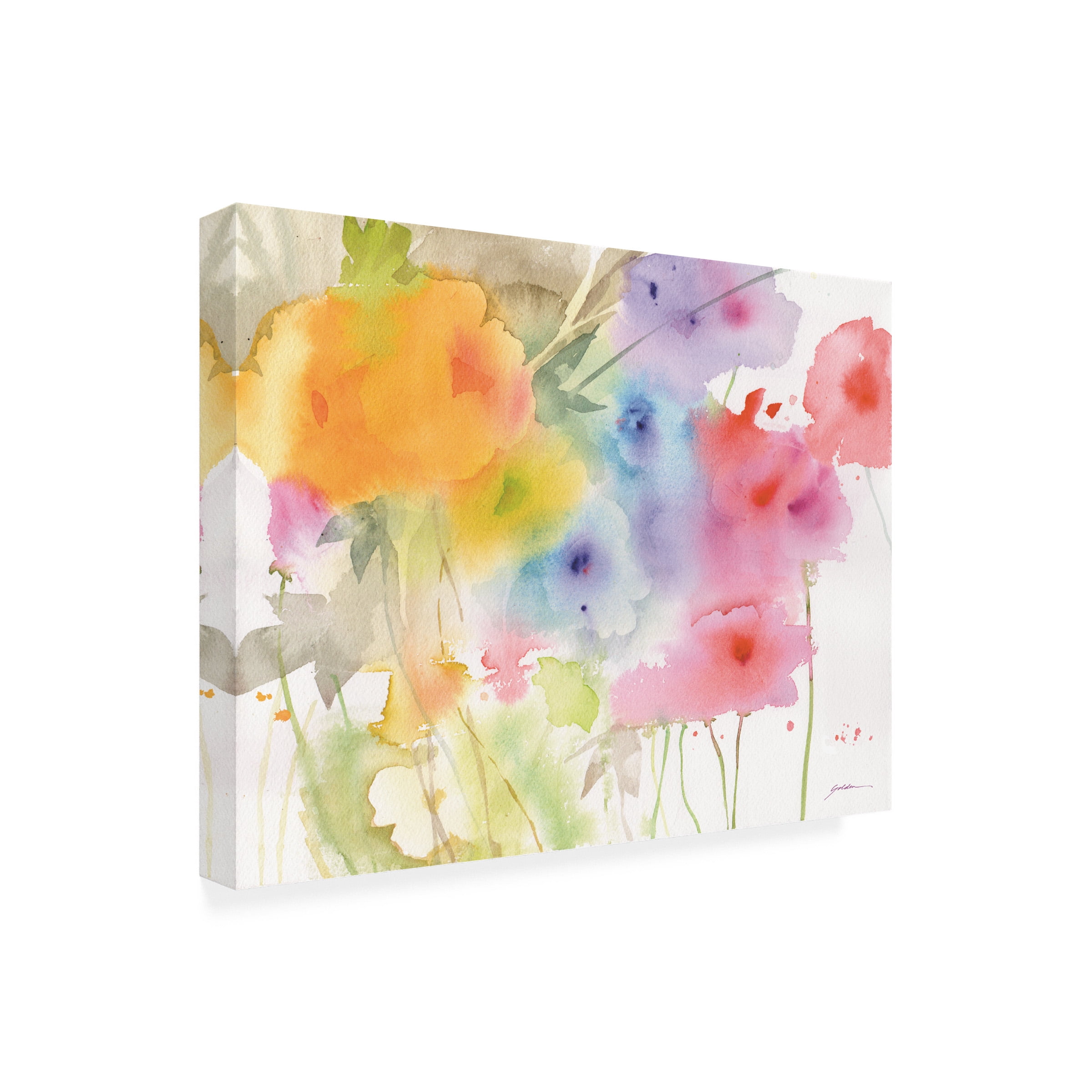 Sheila Golden 'Garden Of The Rainbow' Canvas Art