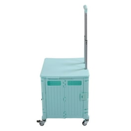 Carrito De Compras Bluey Con Ruedas Giratorias Y 8 Productos De Cartón – Juguete Para Niños De 19.3 Pulgadas
