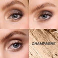 thumbnail image 2 of Sombra de ojos Wonderskin IYKYK Longwear Waterproof Champagne, 2 of 9
