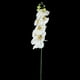 thumbnail image 5 of Orquídea artificial para decoración del hogar (blanca), 5 of 5