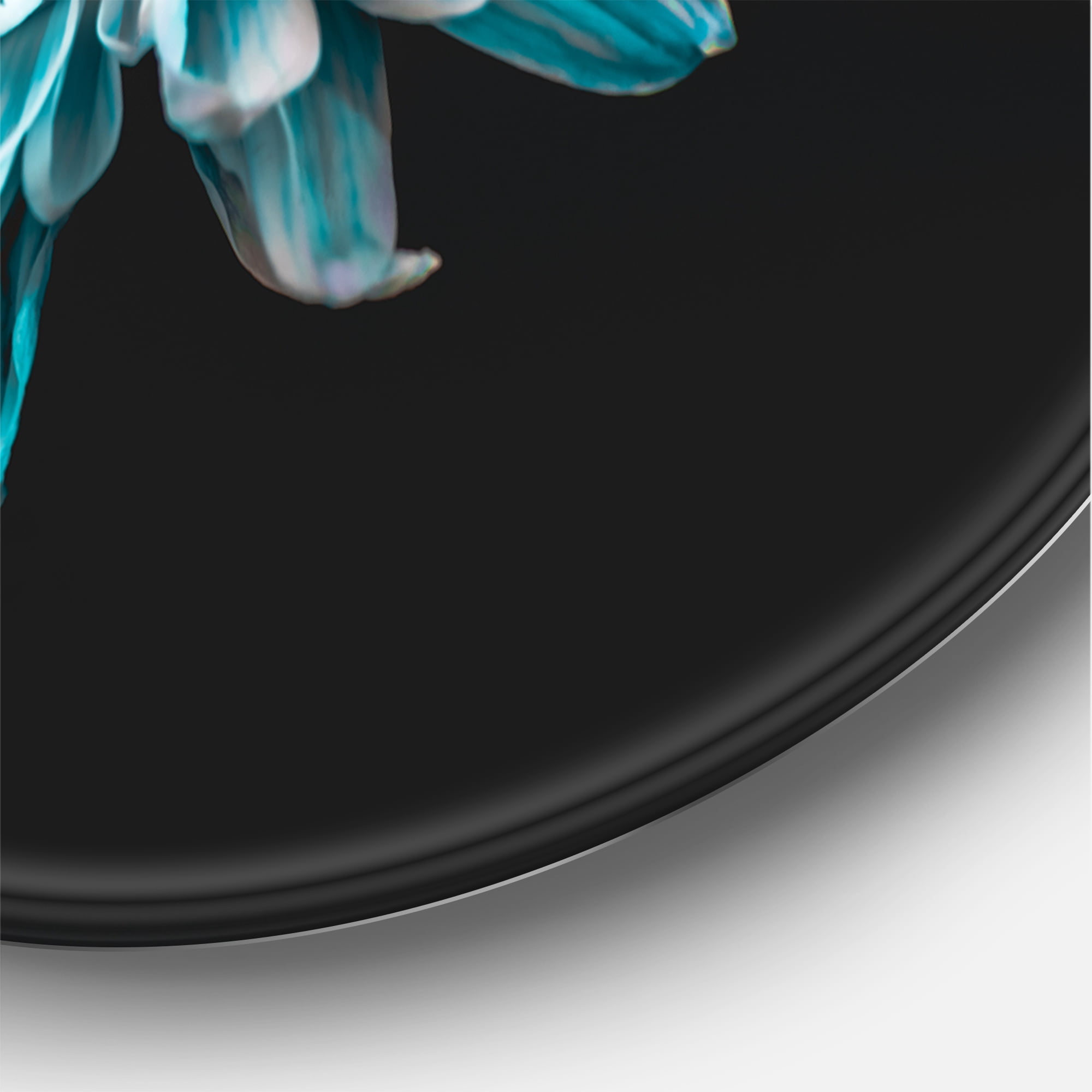 Designart 'Top View of White and Blue Flower' Traditional Circle Metal Wall Art 29x29 - Disc of 29