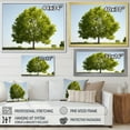 thumbnail image 4 of Designart "Elegant American Basswood" Tree Amercian Basswood Floater Framed Canvas Wall Art, 4 of 5