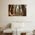thumbnail image 2 of Elephant Stock Summer In Sequoia Park Wall Art - Horizontal Multi Panel Canvas - Living Room Wall Decor - Floral And Botanical Multi Panel - Brown And Beige Decor - 38" x 24", 2 of 4