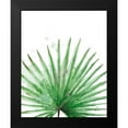 thumbnail image 2 of Pinto, Patricia 15x18 Black Modern Framed Museum Art Print Titled - Palm Frond II, 2 of 5