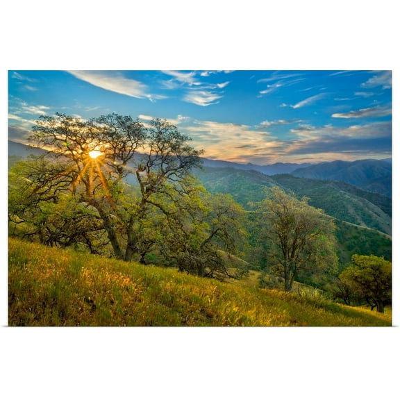 Great BIG Canvas | "Spring Sunburst II" Art Print - 30x20