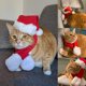 thumbnail image 2 of Gorro de Papá Noel con bufanda para gato, gorro de Papá Noel para cachorro, conjunto de disfraz de Navidad para mascota, suministros para disfraces de fiesta de Navidad, 2 of 5
