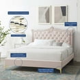 thumbnail image 2 of Platform Bed Frame, Nailhead, Queen Size, Pink, Velvet, Modern Contemporary, Bedroom Master Guest Suite Room, 2 of 10