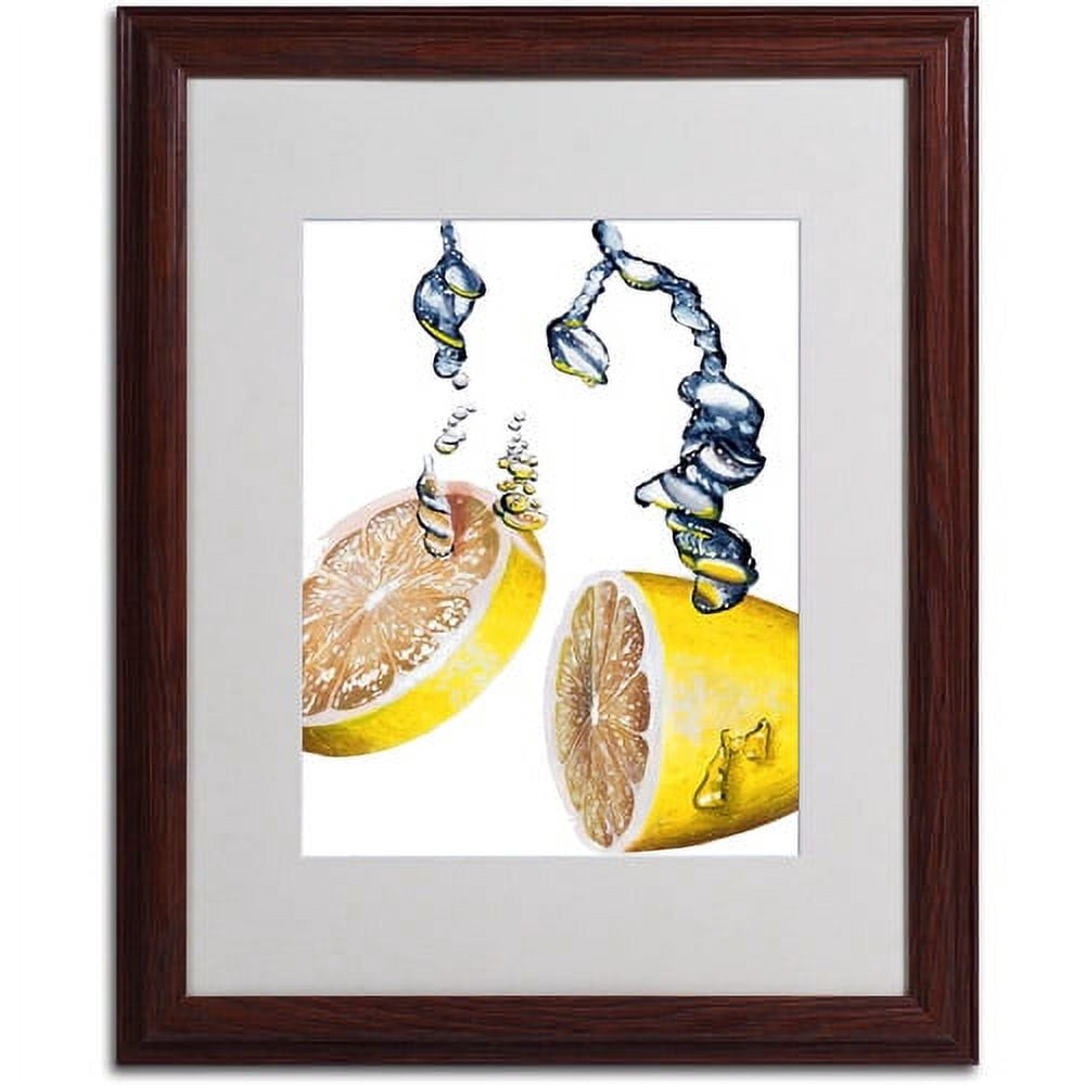 Trademark Fine Art "Lemon Splash II" Framed Matted Art by Roderick Stevens