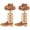 Brown B, variant on Rhinestone Western Boots Earrings Crystal Cowgirl Cowboy Enamel Hat Rodeo Boot Drop Dangle Earrings Boho Western Earrings for Women