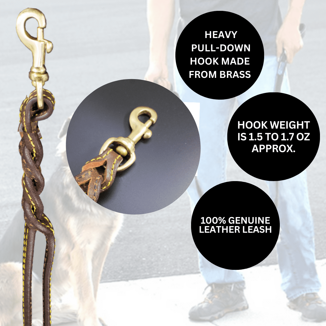 Leather Dog Leash, Genuine Cowhide Braided Pet Leash for Large Dogs, 6ft Easy Control Dog