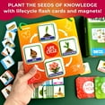 thumbnail image 7 of QUOKKA Life Cycle Kit Toy Montessori - 30 Flash Cards Toddler Science Activities for Kids Ages 2-4, 7 of 7