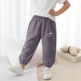 thumbnail image 6 of Piuwrlz Tapered Pants Girls Boys 2-3 T Sweatpants Jogger Pant Gray Size 2-3 T, 6 of 8