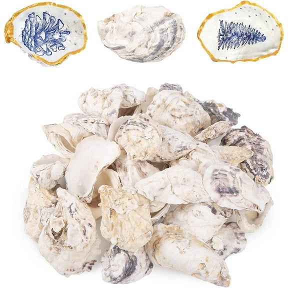Sinkoo 30pcs Oyster Shells for Crafts, 4"-5" Large Concave Oyster Shells Bulk, Natural Seashells Crafts Shell for DIY Crafts Beach Party Wedding Home Xmas Decor
