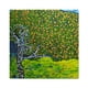 thumbnail image 1 of Cuadro decorativo Maxigráfica Shop Árbol de Naranjas Paisaje Verde Tela, 1 of 6