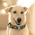 thumbnail image 4 of Duradero con hebilla de asa de seguridad para perros pequeños, grandes y medianos, entrenamiento canino, Camuflaje 36 a 48CM Jinwen cuello grande, 4 of 5