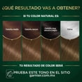 thumbnail image 4 of Tinte para cabello Garnier Oleos sin amoniaco 6.0 rubio oscuro, 4 of 6