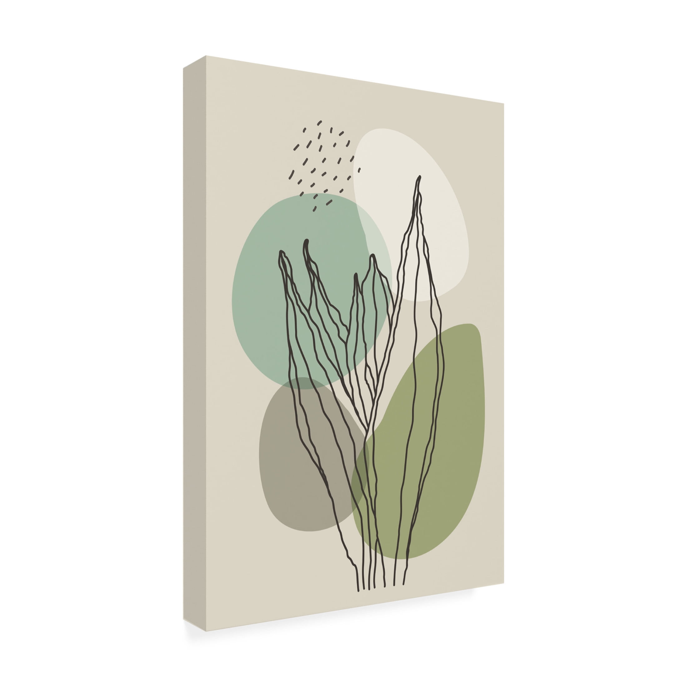 Trademark Fine Art jay stanley  Color Abstract Plants 2 Canvas Wall Art