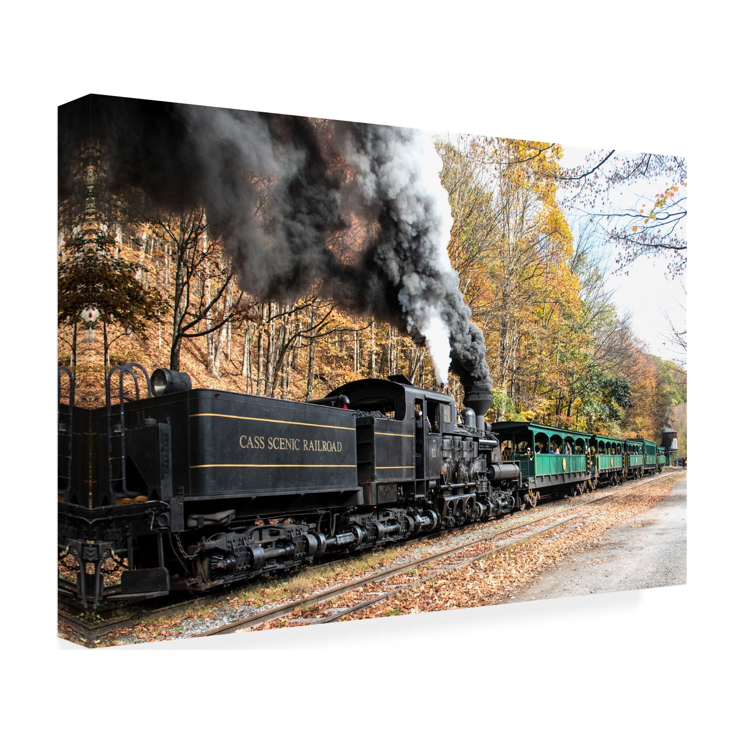 Robert Michaud 'Cass Scenic Railroad 2' Canvas Art