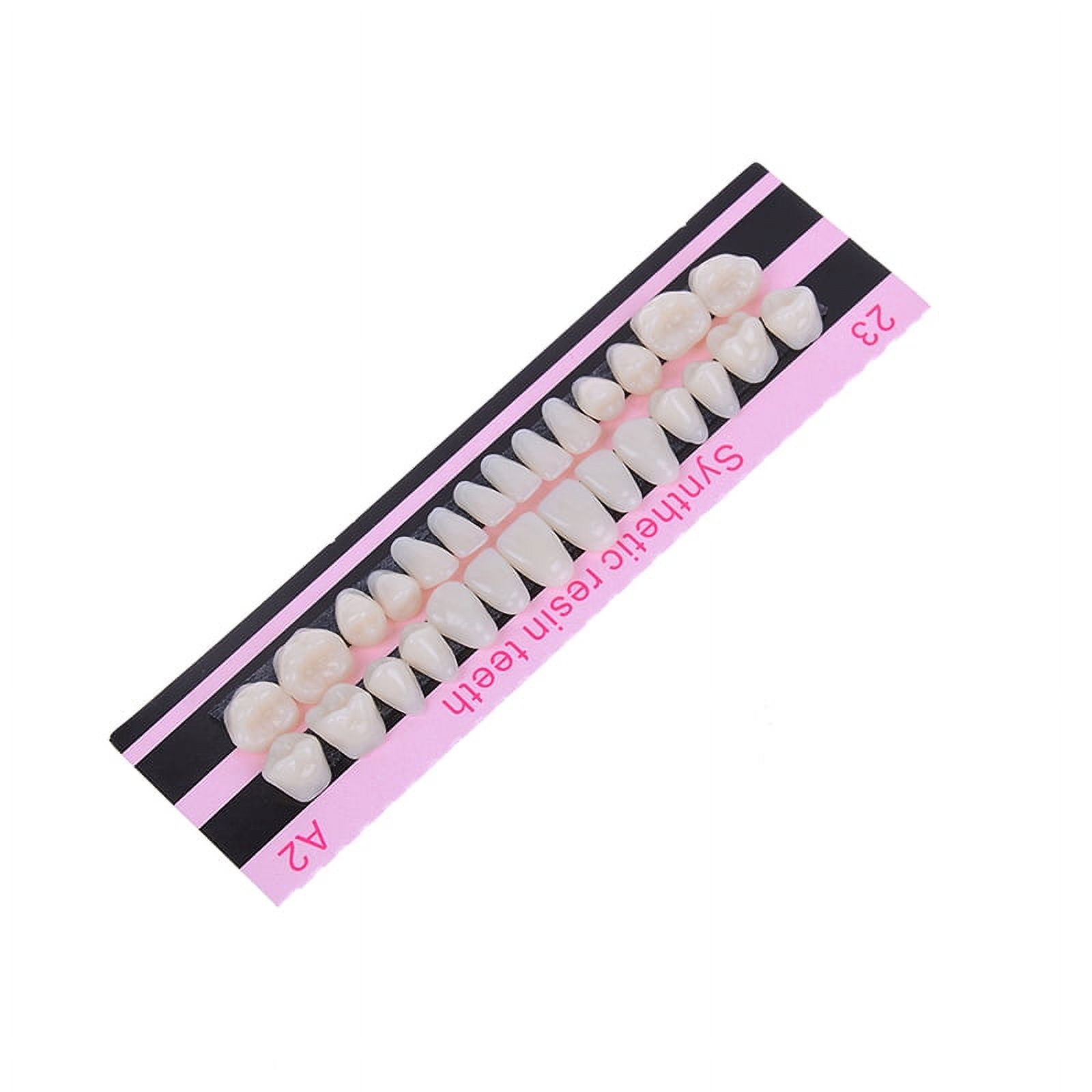 28Pc 1set denture acrylic resin full set teeth upper lower shade 23# A2 dental