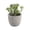 C, variant on huayou Mini Frosted Pink Rosette Artificial Succulent Potted Plant with Gray Cement Pot, Faux Tabletop Greenery for Living Room Office Desktop Decoration
