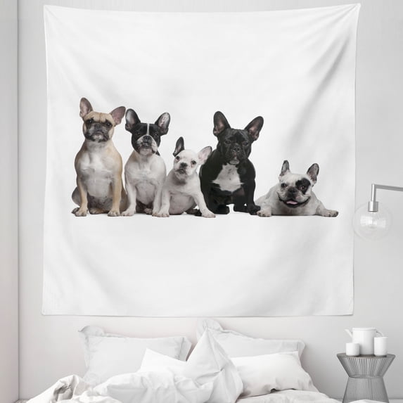 Bulldog Tapestry, Group of Young French Bulldogs with Expressions Animal Lover Photo, Fabric Wall Hanging Decor for Bedroom Living Room Dorm, 5 Sizes, Black White Beige, by Ambesonne