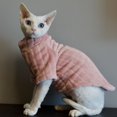 thumbnail image 5 of Suéter de gato Sphynx, camisa suave de dos patas para bebé, suéter de invierno cálido de color sólido de Cornualles, ropa para gatitos y mascotas, 5 of 5
