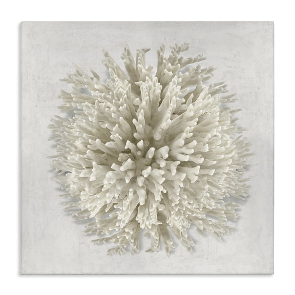Stupell Industries Coastal Natural Round Coral Canvas Art, 17 x 17, by Caroline Kelly
